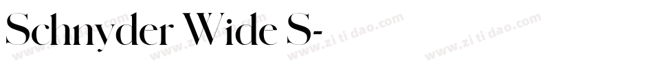 Schnyder Wide S字体转换